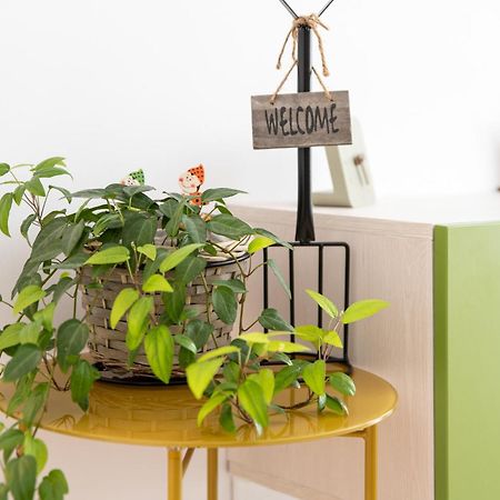 Springhome - Cozy Apartment With Balcony & Parking Brasov Luaran gambar