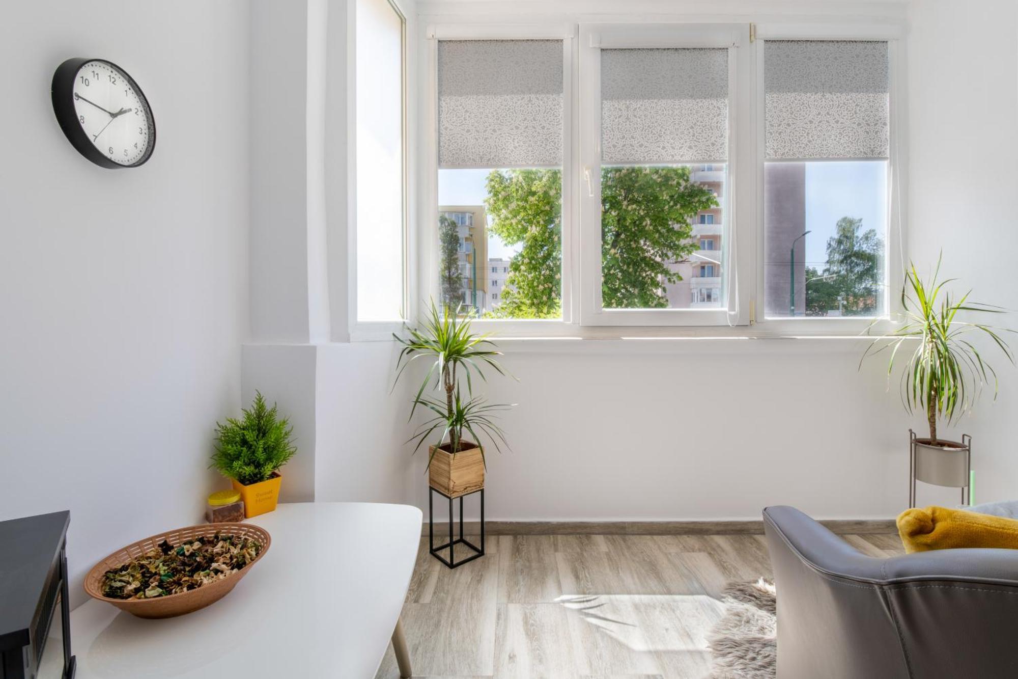 Springhome - Cozy Apartment With Balcony & Parking Brasov Luaran gambar